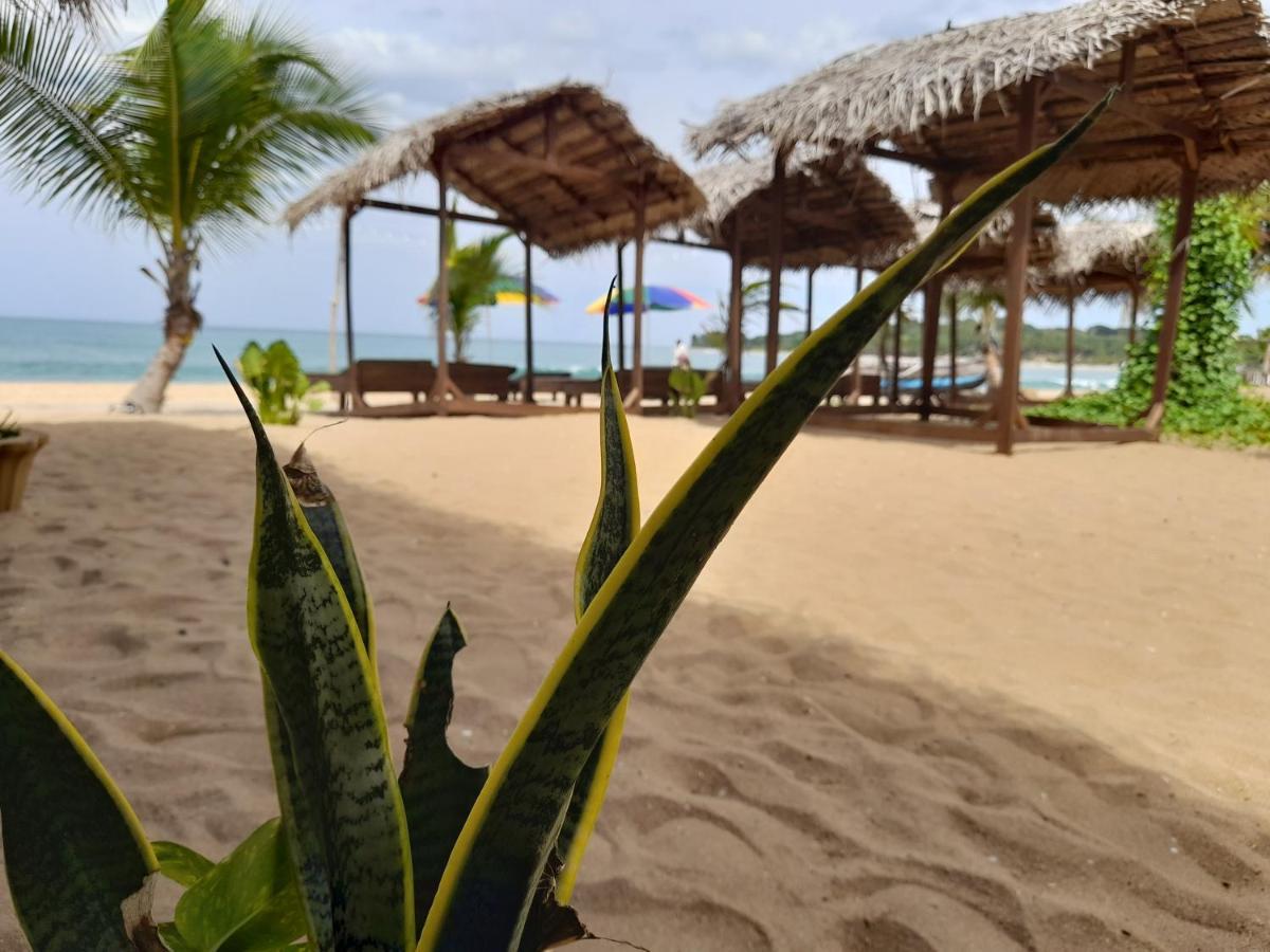 Golden Beach Chalets Arugam Bay Exteriör bild