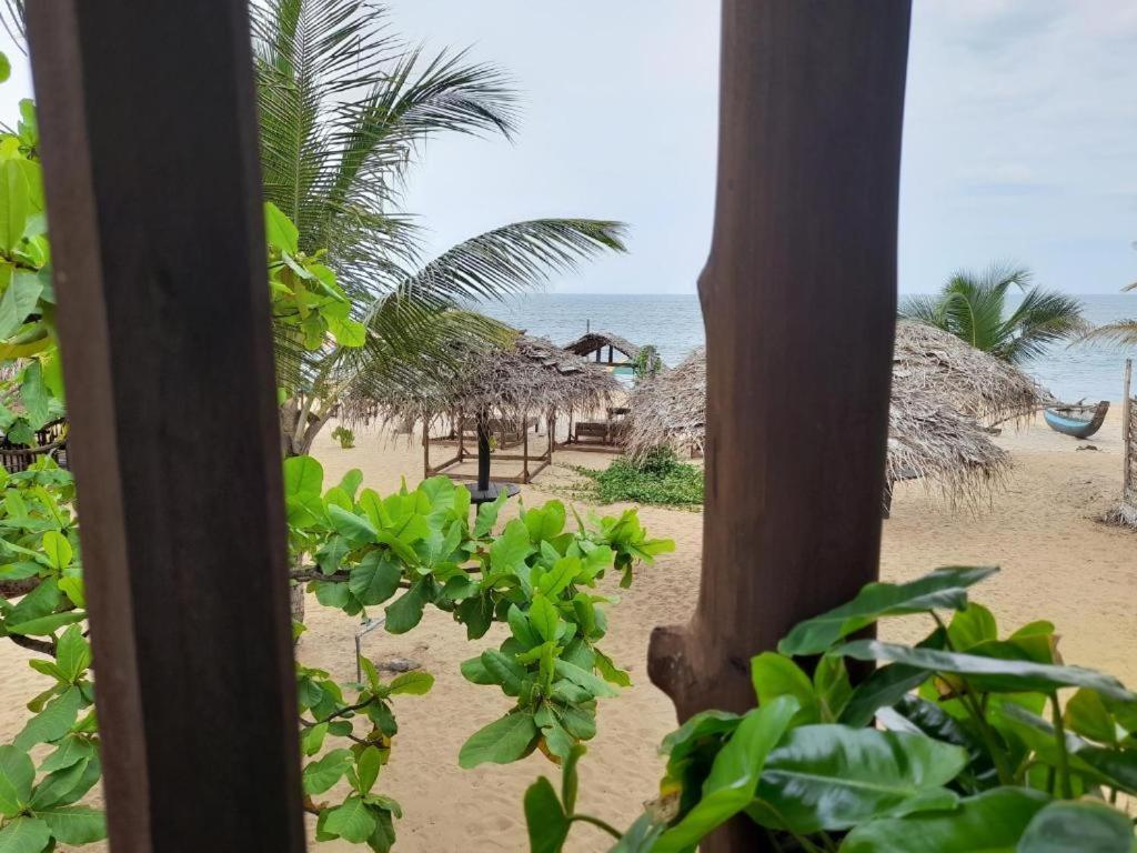 Golden Beach Chalets Arugam Bay Exteriör bild